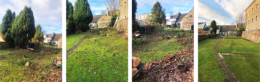 Garden Clearance Ayr